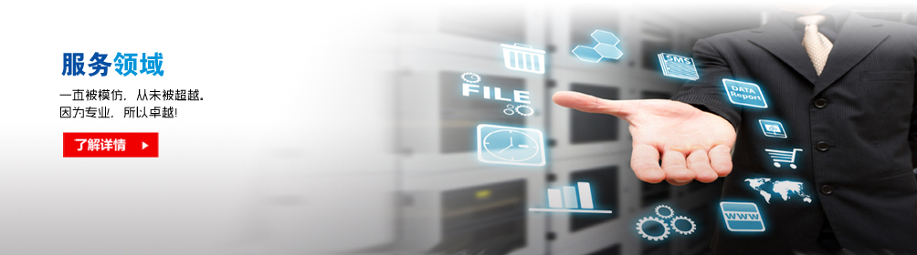 服务领域