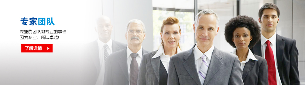 专家团队