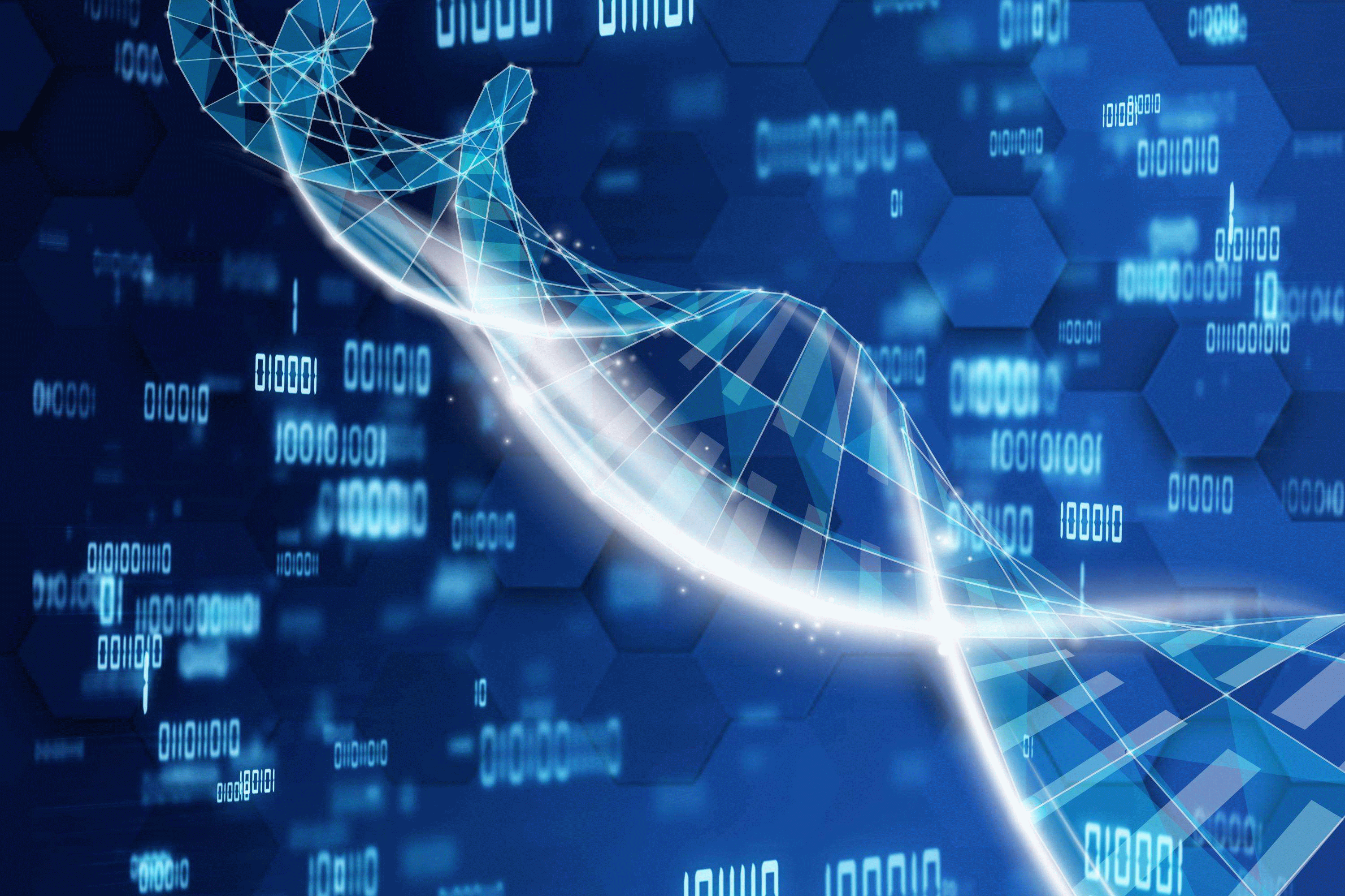 《工业和信息化行政处罚程序规定》解读